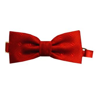 Festliche Babyfliege Jungen, rot - Mini436r 