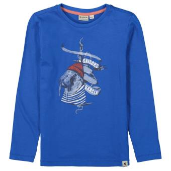 Jungen T-shirt Langarmshirt Oberteil mit Rundkragen, 100% Baumwolle, bedruckt, gemustert, "Robbe", blau - J15600 